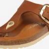 BIRKENSTOCK Flip-Flops 'Gizeh Big Buckle' Brun