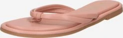 Dorothy Perkins Flip-Flops Pudder
