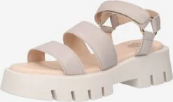 Apple Of Eden Sandaler 'Ravi' Lysegrå